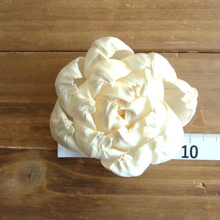 346円 絶品 ハンドメイドフラワー 花材 即日出荷 大地農園 ソーラーパールピオニー