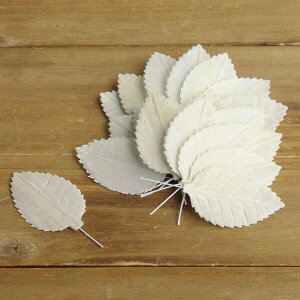 yP10{ 12/31܂ŁIz nhCht[ ԍ o \ [tE[Y S hCt[ \ \[[ Rf ԍ ޗ AW RT[W  uC_ [X Ce