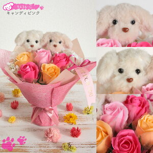 \[vt[ v[g o ӂӂAj}̃\[vt[u[P L a j av[g ԑ  Mtg IV    LD