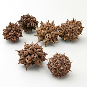 yP10{ z hCt[ ԍ Ƃ悹i XpC_[KEmu ԍ f ޗ p[c  [J XbO [X AW AWg i` Rf   n_