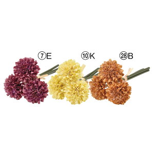  Ƃ悹i ||}(13{) a e } CeA CeAt[ tFCNt[ VNt[ CeAO[ ԍ f AXJ ASCA AXJ