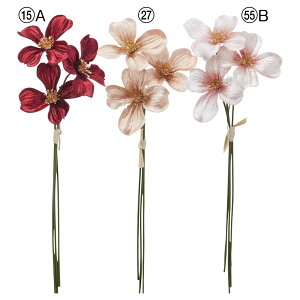 yP10{ 12/31܂ŁIz   Ƃ悹i xxbgt[o`(13{) r[h xxbh N  ̊ i GKg  ԏ  l a AXJ ASCA AXJ