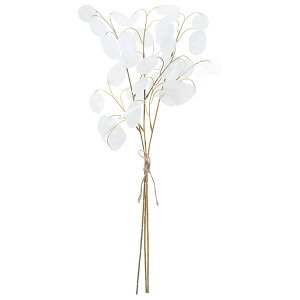  O[ Ƃ悹i }l[[to`(13{) CeA tFCN O[ p[c CeAt[ tFCNt[ ԍ Ԏ AXJ ASCA AXJ