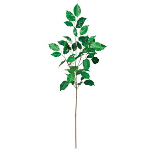 yP10{ 12/31܂ŁIz  O[ Ƃ悹i t@CJXXv[ CeA tFCN O[ p[c CeAt[ tFCNt[ VNt[ ԍ t AXJ ASCA AXJ