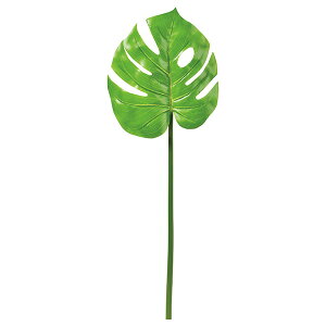  O[ Ƃ悹i Xe ϗt 썑 gsJ 傫 CeA tFCN O[ p[c CeAt[ tFCNt[ t AXJ ASCA AXJ