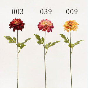 yP10{ z  Ƃ悹i _A _A VO CeA CeAt[ tFCNt[ VNt[ CeAO[ tFCNO[ A[gt[ ԍ f