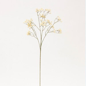 yP10{ 12/31܂ŁIz  Ƃ悹i hCWv\ Wv\tB JX~\E ݑ Mv\tB A[eBtBVt[ CeA CeAt[ tFCNt[ ԍ 