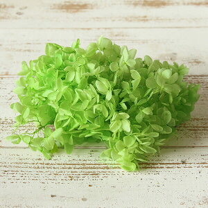 yP10{ z vU[uht[ ԍ o s~bhAWTC NAO[ Fꍇ܂ AWTC  z Ԃт vU[uht[ XbO