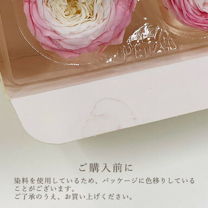 楽天市場】プリザーブドフラワー 花材 ☆即日出荷☆Primavera ナナ 
