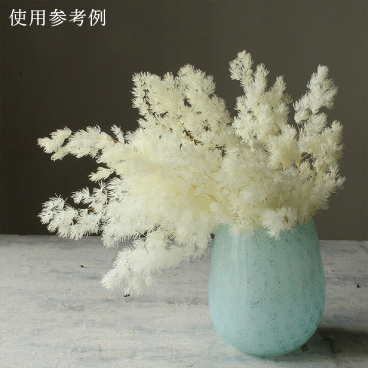 楽天市場】プリザーブドフラワー 花材 即日出荷 ミリオクラダス オフ 