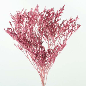 yP10{ z vU[uht[ ԍ o y45%OFFz ^^J GXvsN (݌Ɍ) vU[uht[ XbO u[P hCt[ ԑ [X AW n_