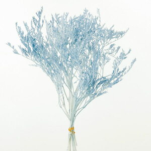 yP10{ z vU[uht[ ԍ o y45%OFFz ^^J xr[u[ (݌Ɍ) vU[uht[ XbO u[P hCt[ ԑ [X AW  n_