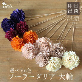 楽天市場 ダリア 白の通販