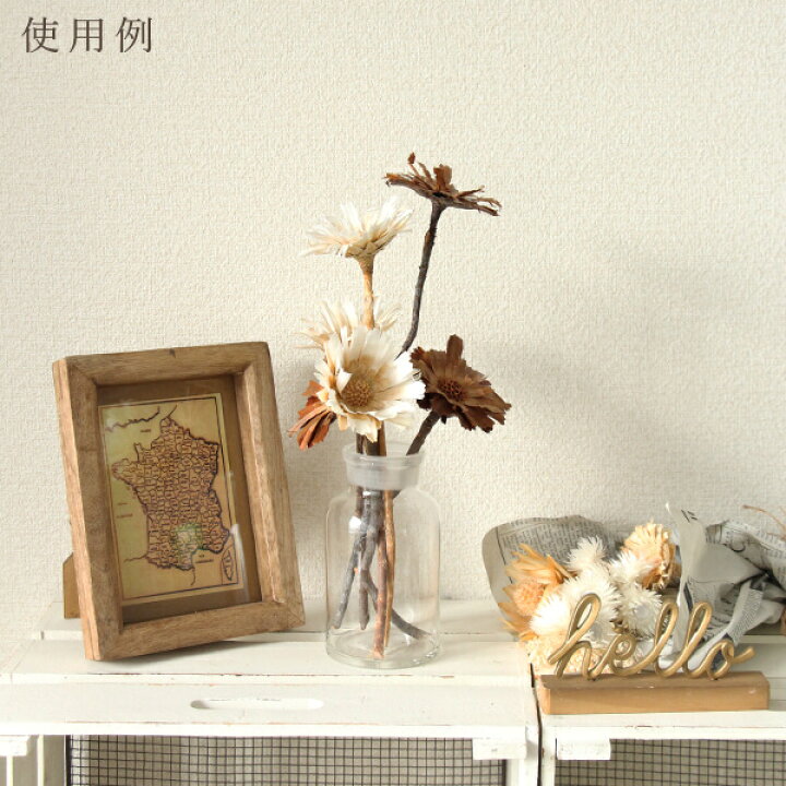 277円 人気no 1 ドライフラワー 花材 即日出荷 大地農園 コンパクター