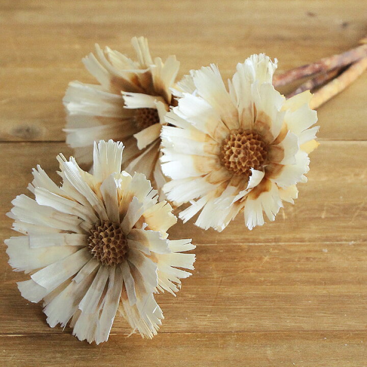 277円 手数料無料 ドライフラワー 花材 即日出荷 Coretrading ピン