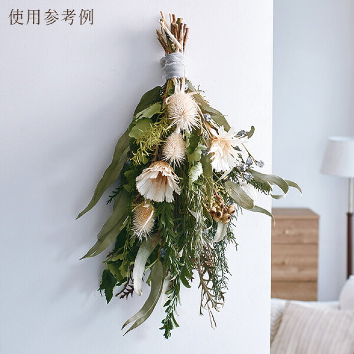 楽天市場】ドライフラワー 花材 即日出荷 リペンス・ロゼッタ オフ  