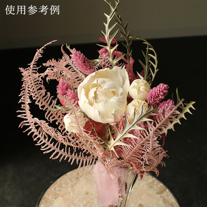 楽天市場 ドライフラワー 花材 即日出荷 大地農園 山シダ ピンクベージュシダ 葉 ドライフラワー プリザーブドフラワー スワッグ ブーケ ドライフラワー花束 花束 ドライフラワースワッグ リース アレンジ 花材 素材 材料 花 パーツ アレンジメント 造花ドライ 楽天市場 ドライフラワー 花材 即日出荷 大地農園 山シダ ピンクベージュシダ 葉 ドライフラワー プリザーブドフラワー スワッグ ブーケ ドライフラワー花束 花束 ドライフラワースワッグ リース アレンジ 花材 素材 材料 花 パーツ アレンジメント 造花ドライ