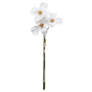 yP10{ z   Ƃ悹i xxbgt[o`(13{) r[h xxbh N  ̊ i GKg  ԏ  l a AXJ ASCA AXJ