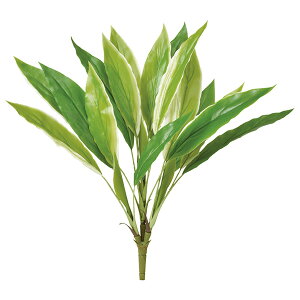 yP10{ 12/31܂ŁIz  O[ Ƃ悹i hZiubV CeA tFCN O[ p[c CeAt[ tFCNt[ VNt[ ԍ f AXJ ASCA AXJ