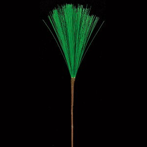 yP10{ z   Ƃ悹i 剤  VNt[ C~e[V A[eBtBVt[ tFCN Vt }t }tpi    AXJ ASCA AXJ