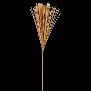 yP10{ z   Ƃ悹i 剤(t)  VNt[ C~e[V A[eBtBVt[ tFCN Vt }t }tpi   AXJ ASCA AXJ