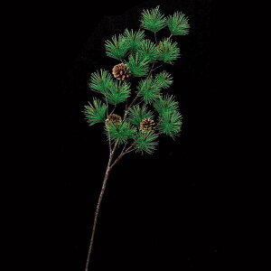 yP10{ z   Ƃ悹i pCXv[  VNt[ C~e[V A[eBtBVt[ tFCN Vt }t }tpi   AXJ ASCA AXJ