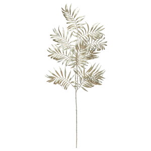 NX}X  O[ Ƃ悹i t@[Xv[(t) LL AWx[X Vp Vy x[W  F V_ [t  AXJ ASCA AXJ