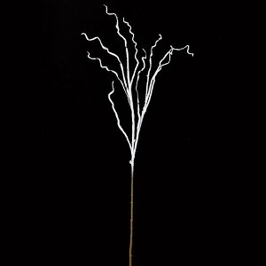 yP10{ z NX}X  O[ Ƃ悹i Ob^[cCbO [t z[[ t  I[ig NX}X NX}X[X CeA G AXJ ASCA AXJ