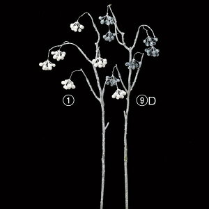 NX}X  O[ Ƃ悹i x[Xv[ [t z[[ t  I[ig NX}X NX}X[X CeA G  AXJ ASCA AXJ