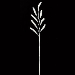 yP10{ z NX}X  O[ Ƃ悹i Ob^[LbgeCXv[ [t z[[ t  I[ig NX}X NX}X[X AXJ ASCA AXJ