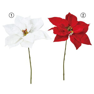 yP10{ z NX}X  Ƃ悹i xxbg|CZ`A |CZ`A  I[ig NX}X ԍ f AW AWޗ CeA G AXJ ASCA AXJ