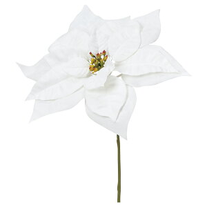 yP10{ z NX}X  Ƃ悹i xxbg|CZ`A |CZ`A  I[ig NX}X ԍ f AW AWޗ CeA G AXJ ASCA AXJ