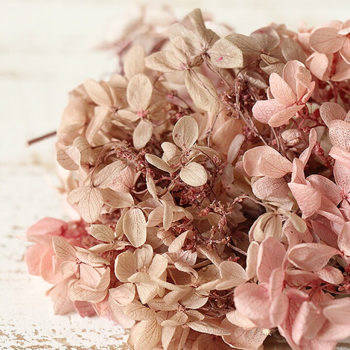408円 【大注目】 紫色とピンクのアジサイ紫陽花押し花ドライフラワーセット大小ミックスサイズ9種類34枚入り 408円 【大注目】 紫色とピンクのアジサイ紫陽花押し花ドライフラワーセット大小ミックスサイズ9種類34枚入り