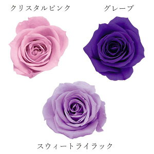 yP10{ z vU[uht[ ԍ o [YE݁EJ[A\[g sN/p[v~bNX vU[uht[ XbO u[P hCt[ ԑ [X n_