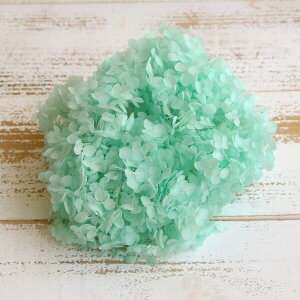 yP10{ z vU[uht[ ԍ o \tgAix ~gu[ AWTC  z Ԃт vU[uht[ XbO u[P hCt[  