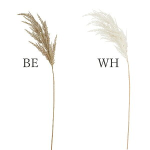 yP10{ 12/31܂ŁIz  O[ Ƃ悹i ppXXv[ CeA tFCN O[ p[c CeAt[ tFCNt[ VNt[ CeAO[ ԍ r