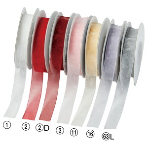 yP10{ 12/31܂ŁIz AW bsO { NX}X nhCh Ƃ悹i I[KW[{   i GKg  |GXe u[P AXJ ASCA AXJ