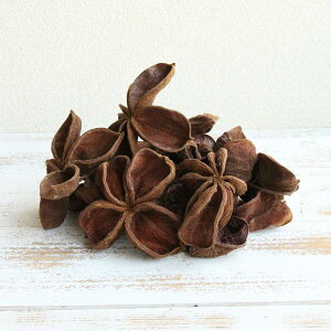 hCt[ ԍ o MM[^Xt[ 12Zbg ؂̎ i` Rf CeA fBXvC AW NX}X [X ԍ ޗ t[c ʎ