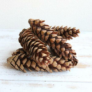 hCt[ ԍ o RMXg[upCL ؂̎  JT ڂ [X NX}X ԍ f ޗ CeA fBXvC 傫 XbO ʎ 