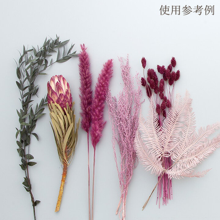 楽天市場】ドライフラワー 花材 即日出荷 【40％OFF】期間限定特価 