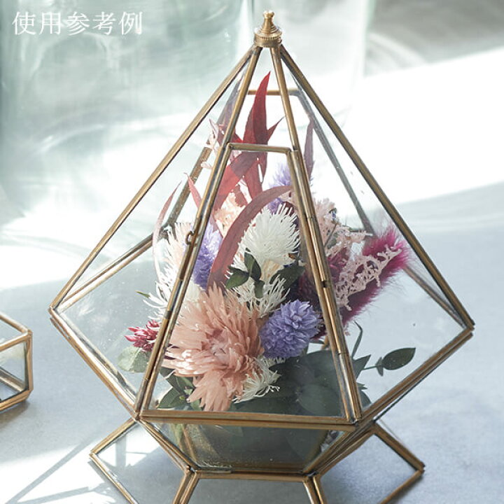 楽天市場】ドライフラワー 花材 即日出荷 【40％OFF】期間限定特価 