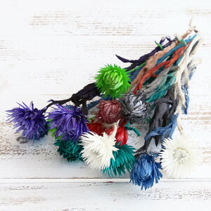 hCt[ ԍ o Vo[fCW[ VbNJ[A\[g Vo[f[W[ ԍ f ޗ p[c hCt[ XbO u[P ԑ [X  f