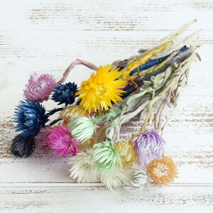 yP10{ 12/31܂ŁIz hCt[ ԍ o Vo[fCW[ ~bNXJ[A\[g Vo[f[W[ ԍ f ޗ p[c hCt[ XbO u[P ԑ [X  