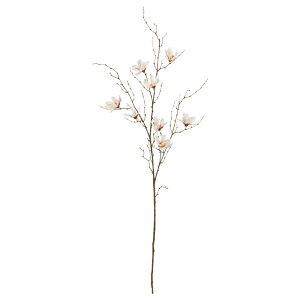 yP10{ 12/31܂ŁIz   Ƃ悹i }OmA×8 N ؘ@ p MRE{N a CeA CeAt[ tFCNt[ VNt[ ԍ AXJ ASCA AXJ