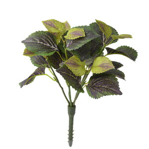 yP10{ 12/31܂ŁIz  O[ Ƃ悹i [tubV CeA tFCN O[ p[c CeAt[ tFCNt[ VNt[ CeAO[ ԍ Ԏ