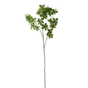 yP10{ 12/31܂ŁIz  O[ Ƃ悹i hE_ccWXv[ CeA tFCN O[ p[c CeAt[ tFCNt[ VNt[ CeAO[ t