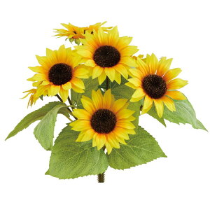  Ƃ悹i ~jTt[ubV×7  q} Ђ܂ 썑 gsJ CeA CeAt[ tFCNt[ VNt[ ԍ roH|