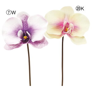 yP10{ 12/31܂ŁIz   Ƃ悹i R`EsbN t@mvVX Ӓ CeA CeAt[ tFCNt[ VNt[ A[gt[ AXJ ASCA AXJ