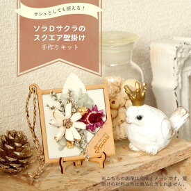 ハンドメイドフラワー 花材 即日出荷 ソラフラワー手作りキット ソラDサクラのスクエア壁掛け ドライフラワー ハンドメイド DIY 自由研究 キット 手作り ワークショップ インテリア ナチュラル ボタニカル 自然素材