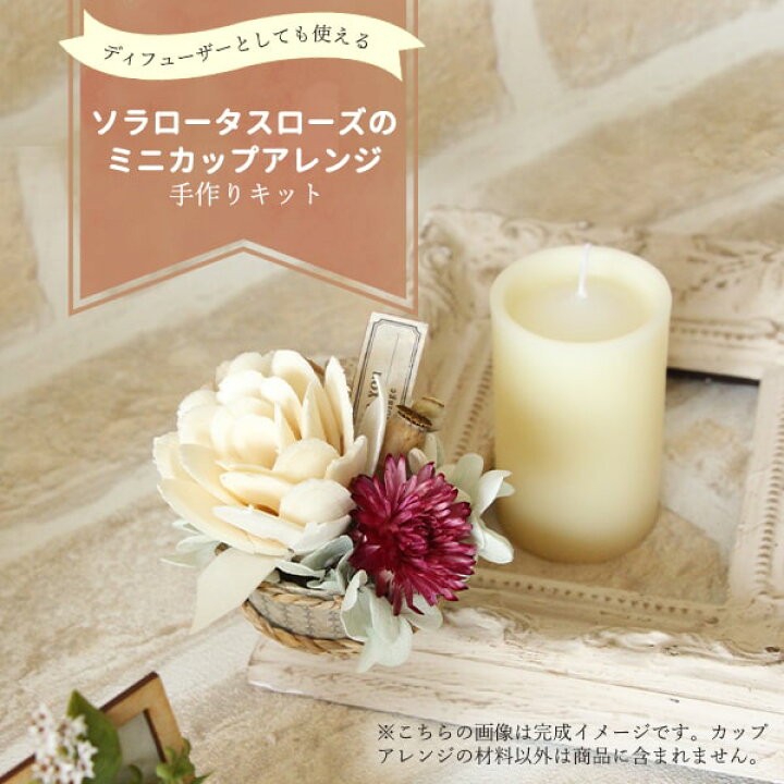 楽天市場 ハンドメイドフラワー 花材 即日出荷 Daisen ソラフラワー手作りキット ソラロータスローズのミニカップアレンジ ドライフラワー ハンドメイド Diy 自由研究 キット 手作り ワークショップ インテリア ナチュラル ボタニカル 造花ドライフラワー専門